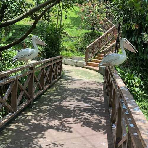 Парк птиц (Taman Burung Kuala Lumpur), Малайзия