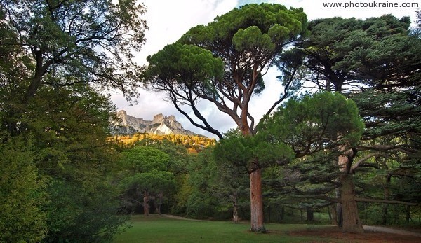 Алупкинский парк, Crimea