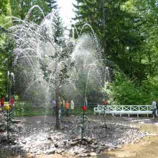 Oak Fountain photo