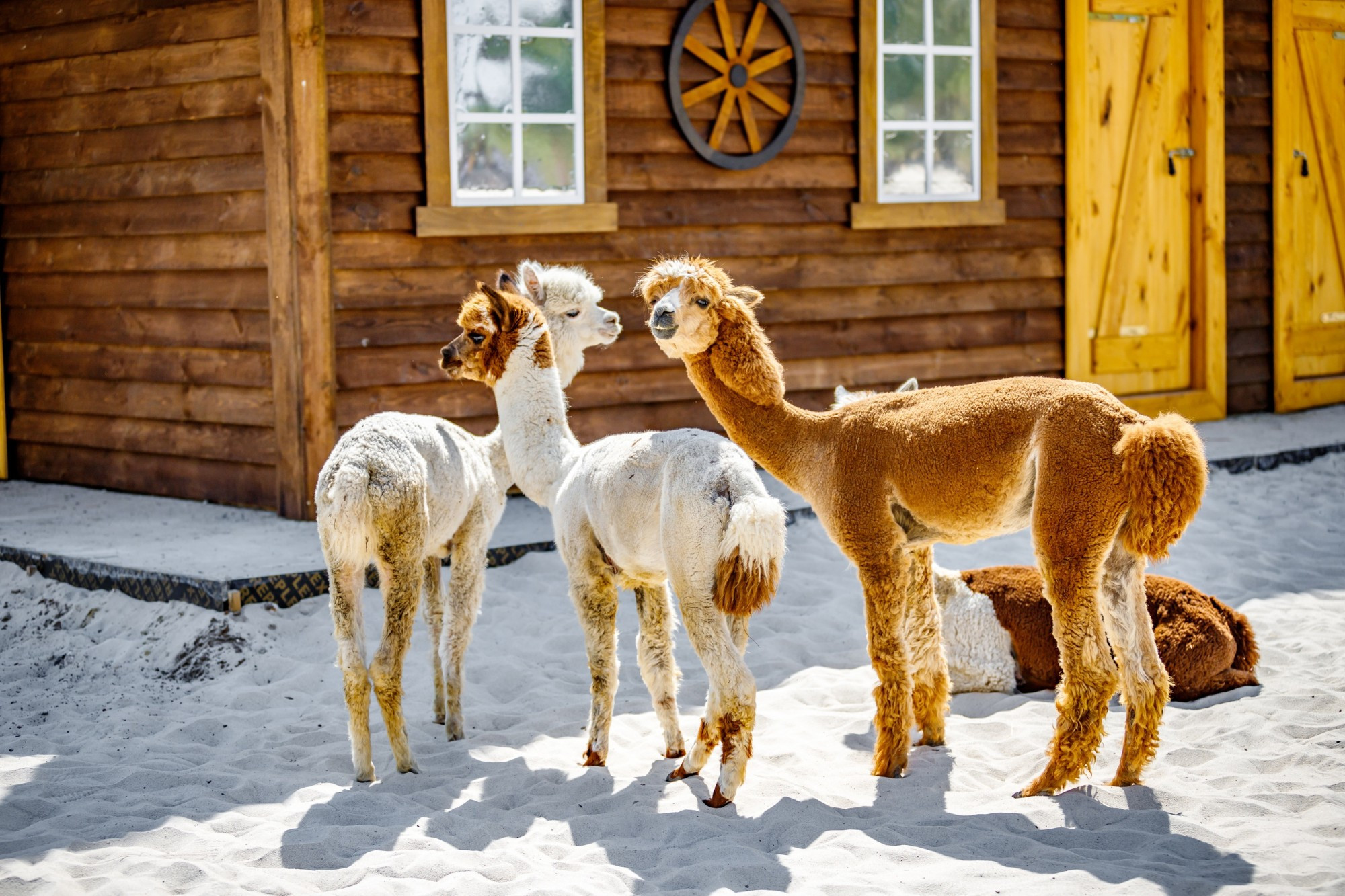 Парк Белый Колодец, Russia