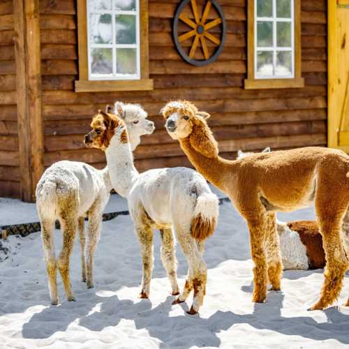 Парк Белый Колодец, Russia