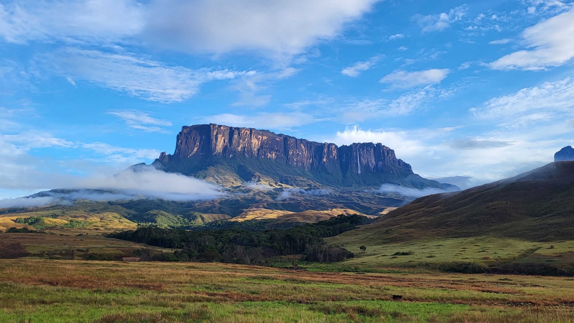 Venezuela