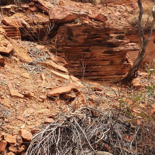 Стены каньона — слоистый камень красно-коричневого цвета. Легко крошится.