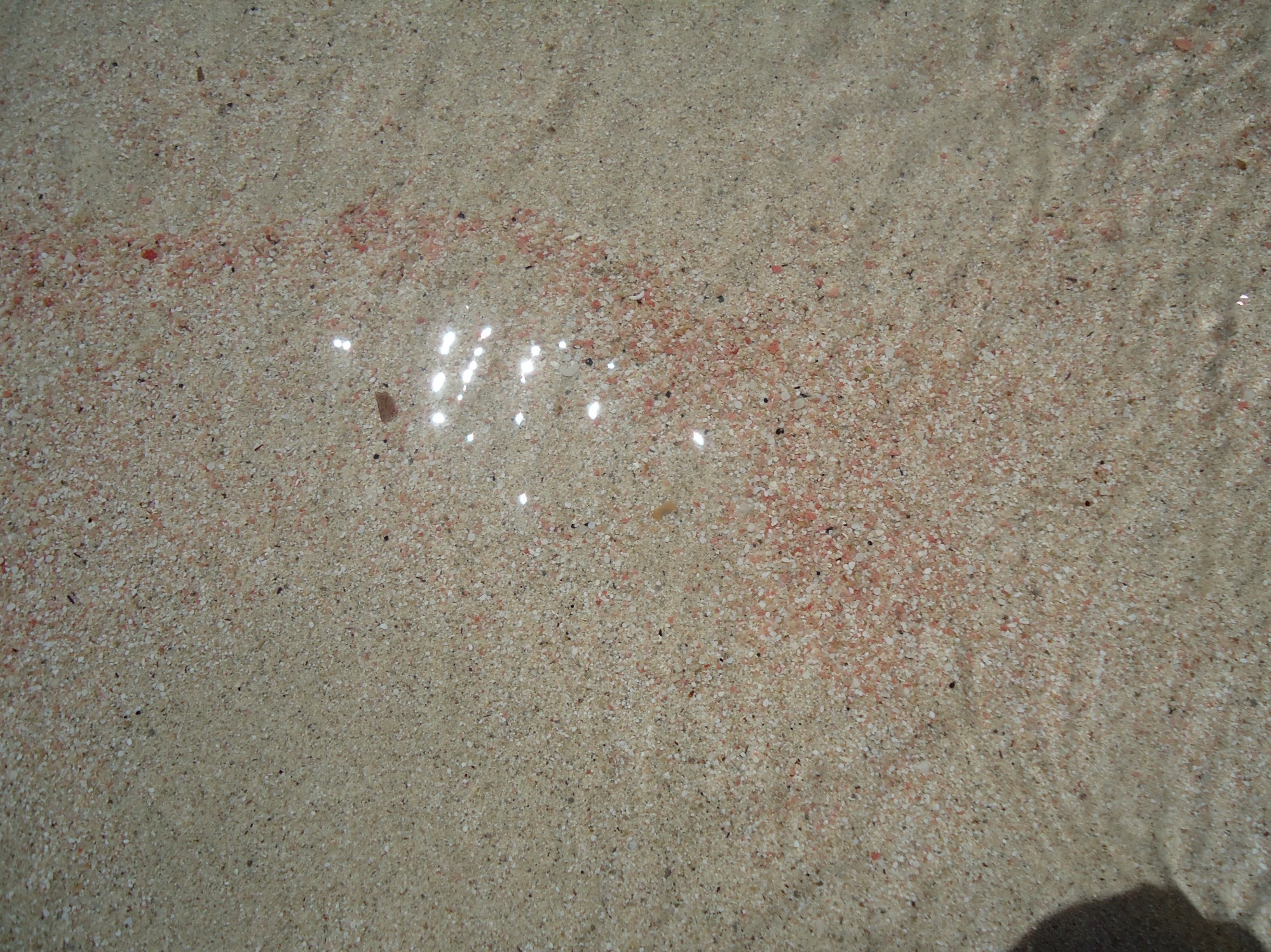 Лагуна Балос, пляж с розовым песком