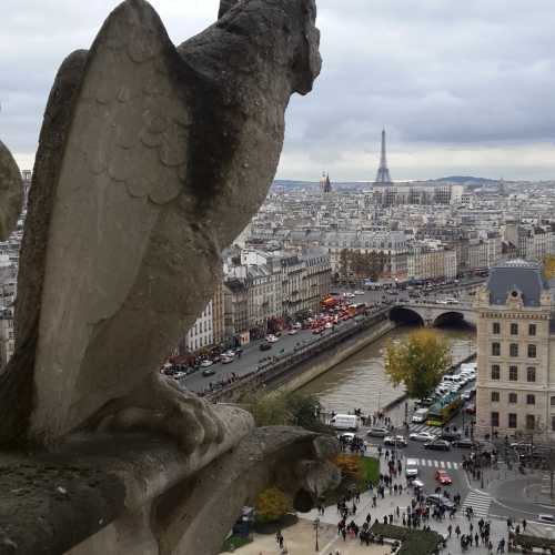 Вид на Париж с Нотр-Дам-де-Пари 