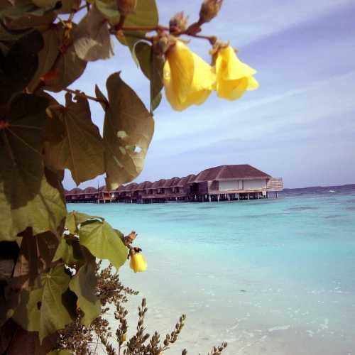 Мальдивские о-ва