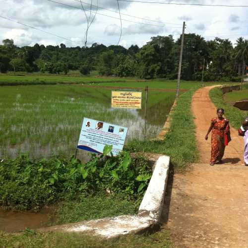 Sri Lanka