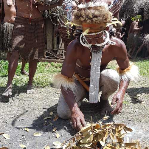 Вождь племени Дали Папуа Новая Гвинея