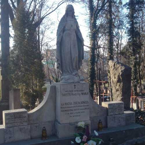 Личаковское кладбище, Украина