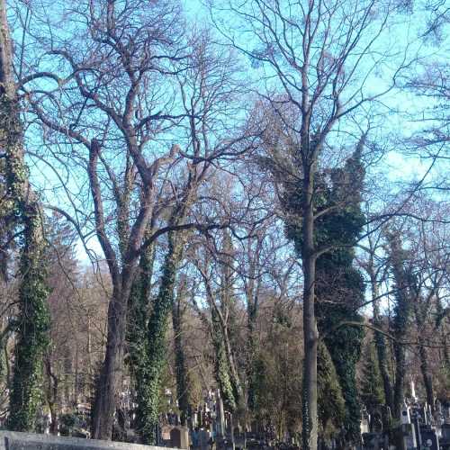 Lychakiv cemetery, Ukraine