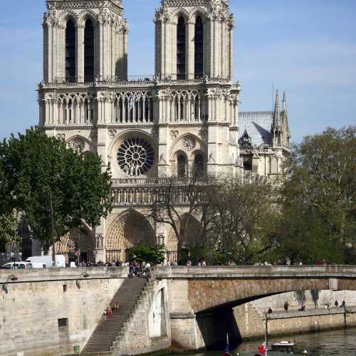 Pleasure boat floating on the river Seine in the background of the Notre Dame de Paris