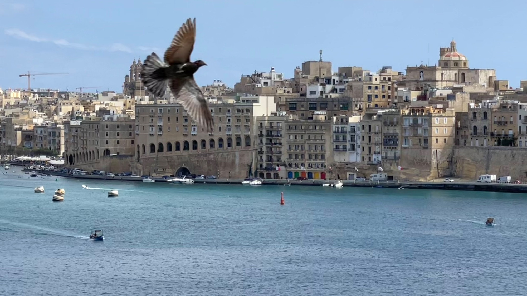 Malta