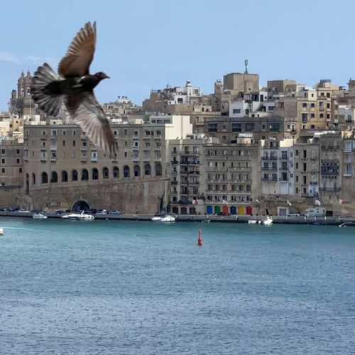 Malta