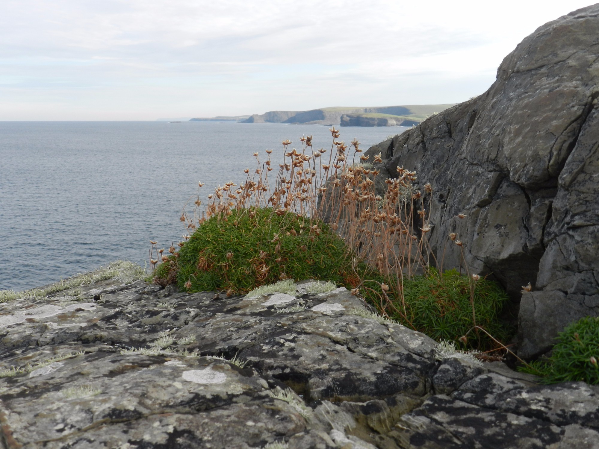 Kilkee, Ireland