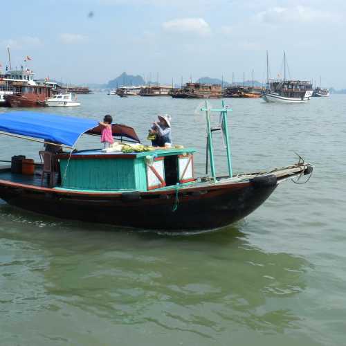 Бухта Хало́нг, Вьетнам