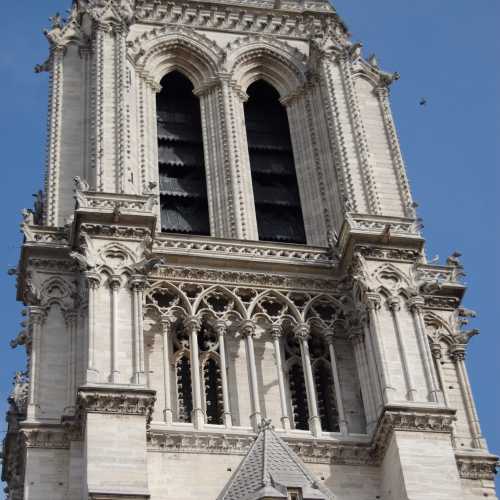 Собор Парижской Богоматери, Франция