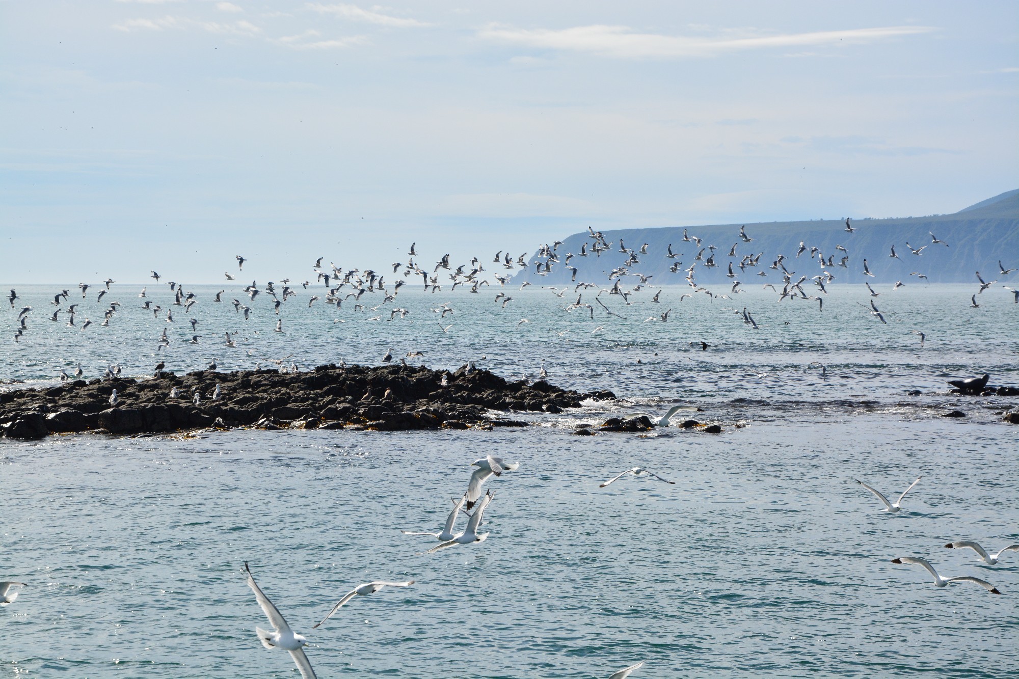 Avacha Bay, Russia