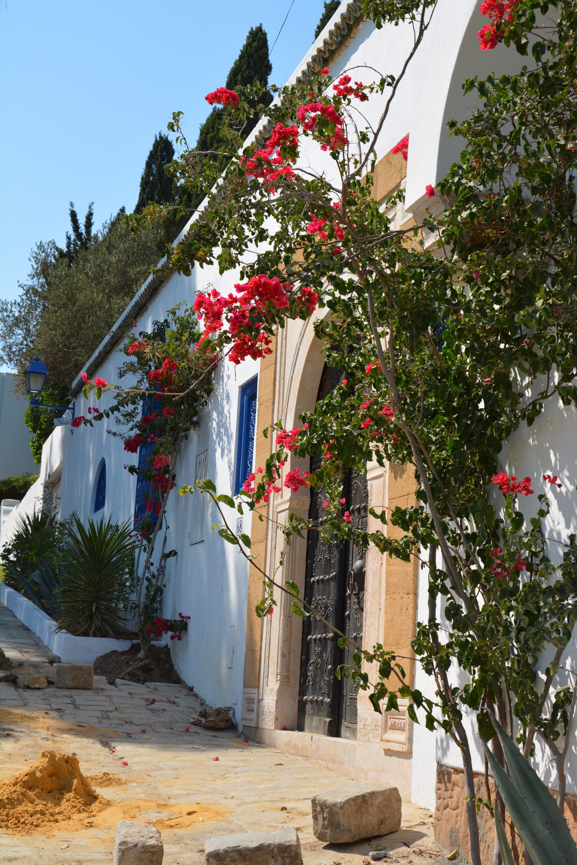 Sidi Bou Said, Tunisia