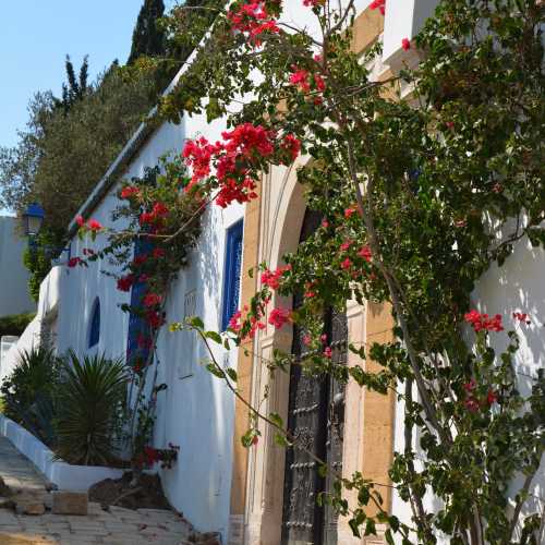 Sidi Bou Said, Tunisia