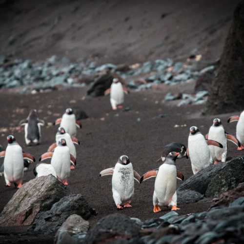 Antarctica coast photo