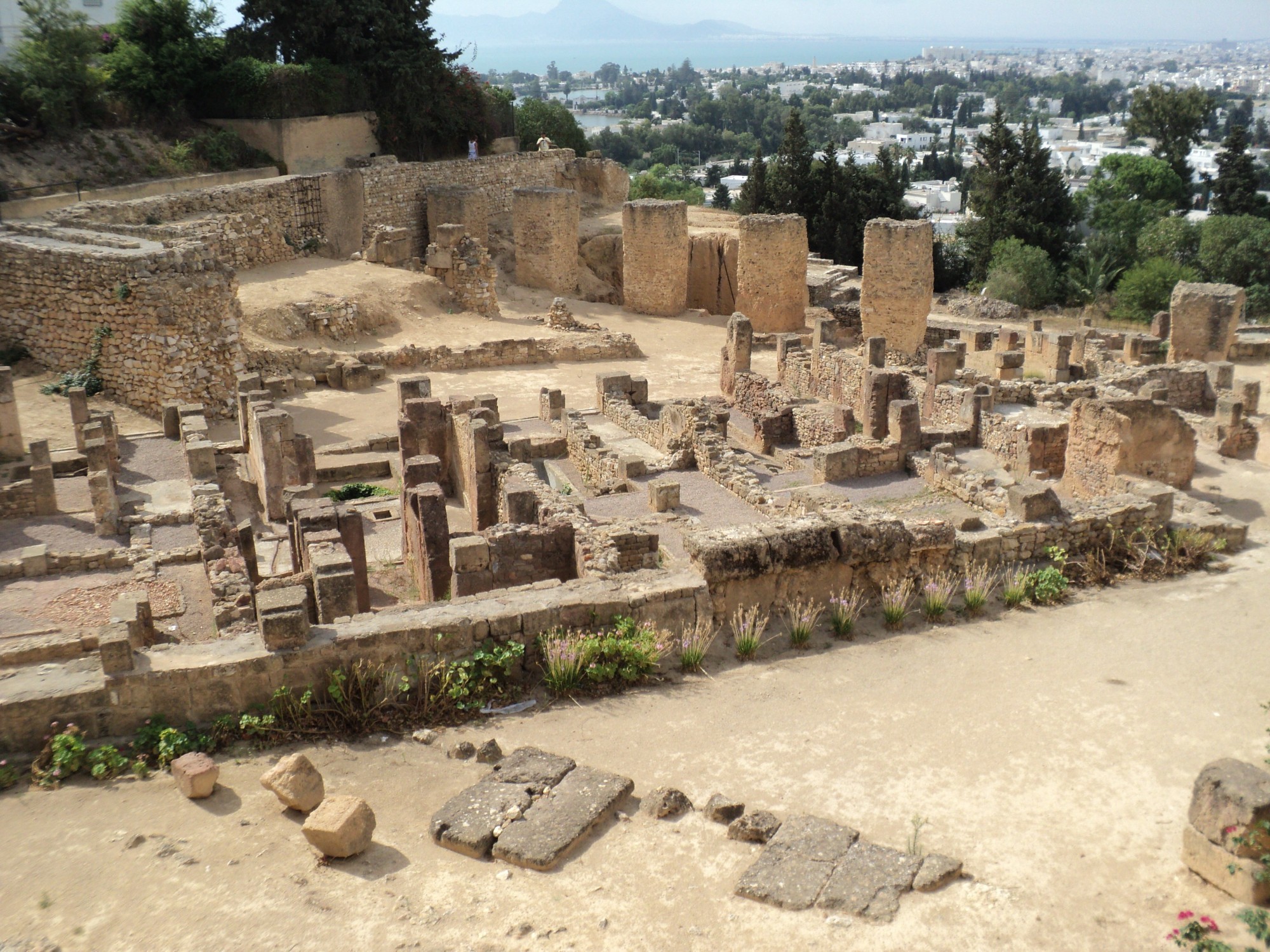 Древний Город Туниса