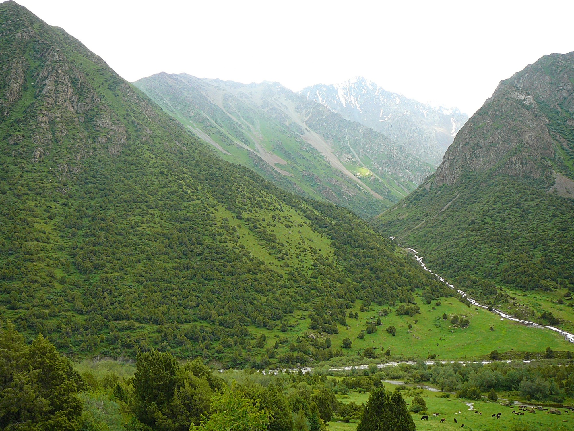 Kyrgyzstan