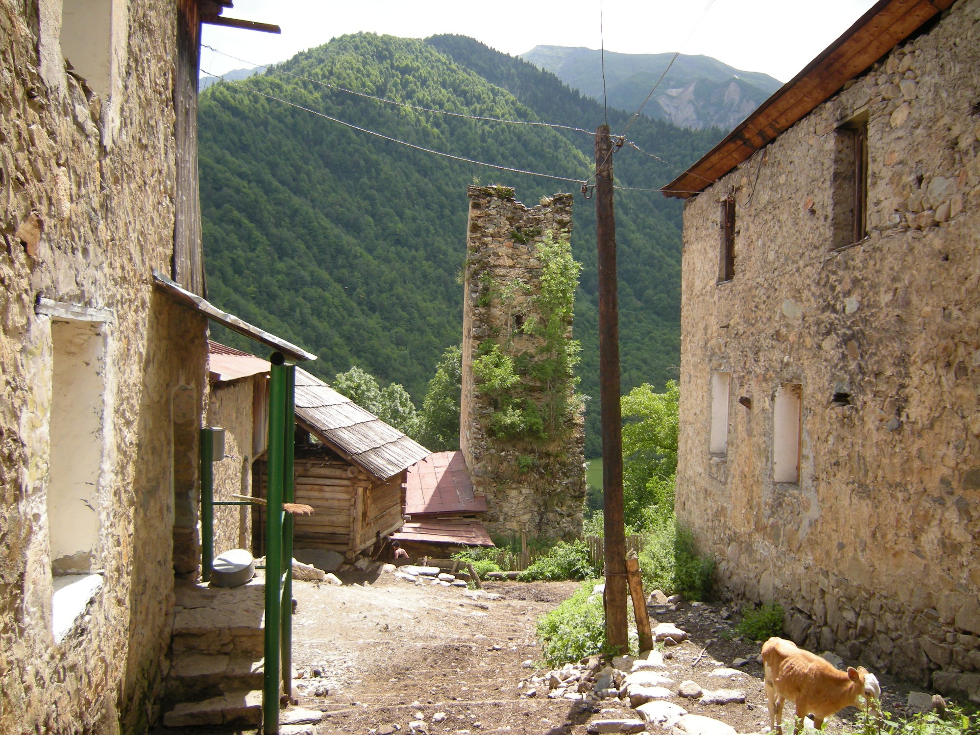 лентехи грузия