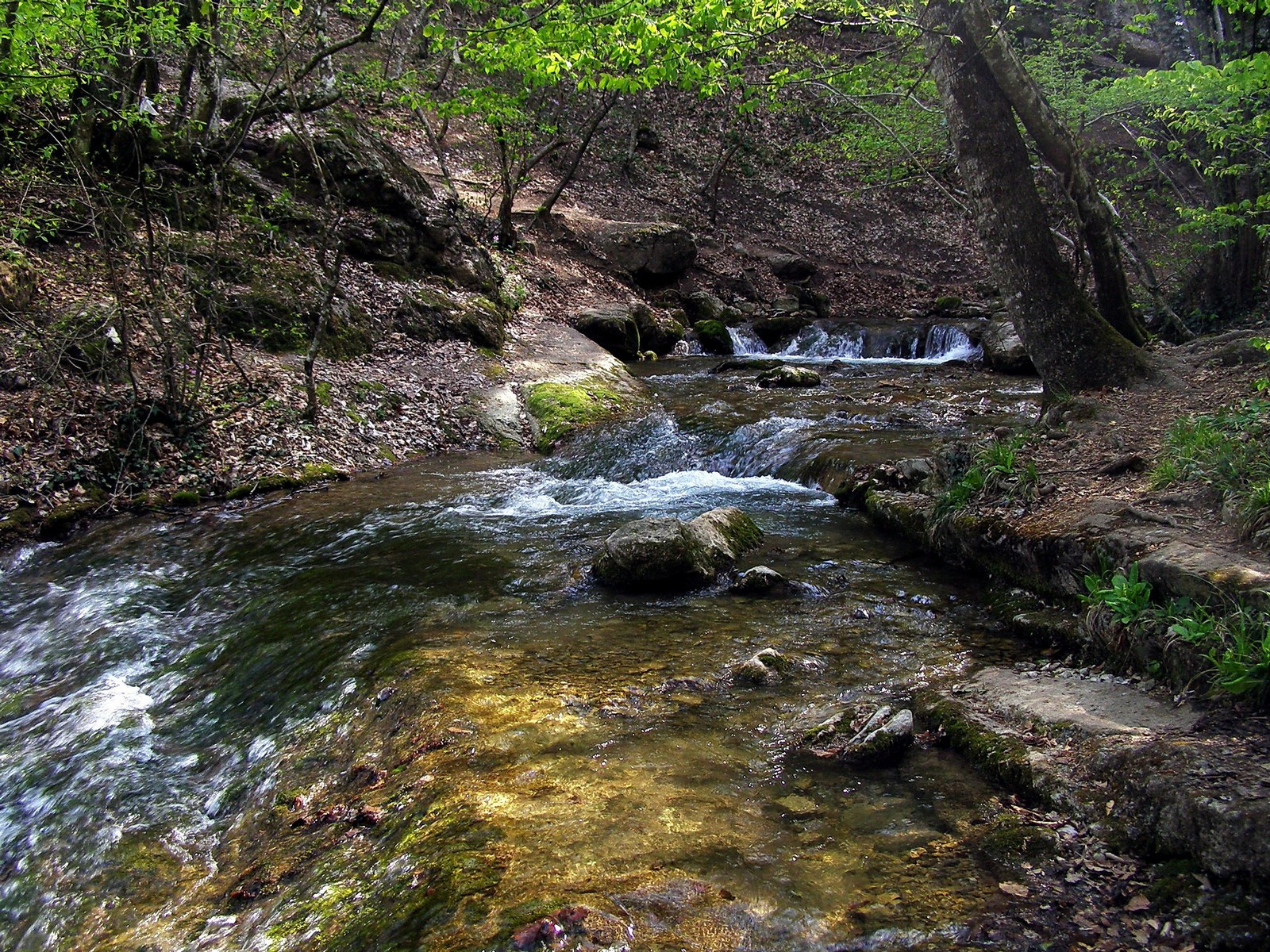 Crimea