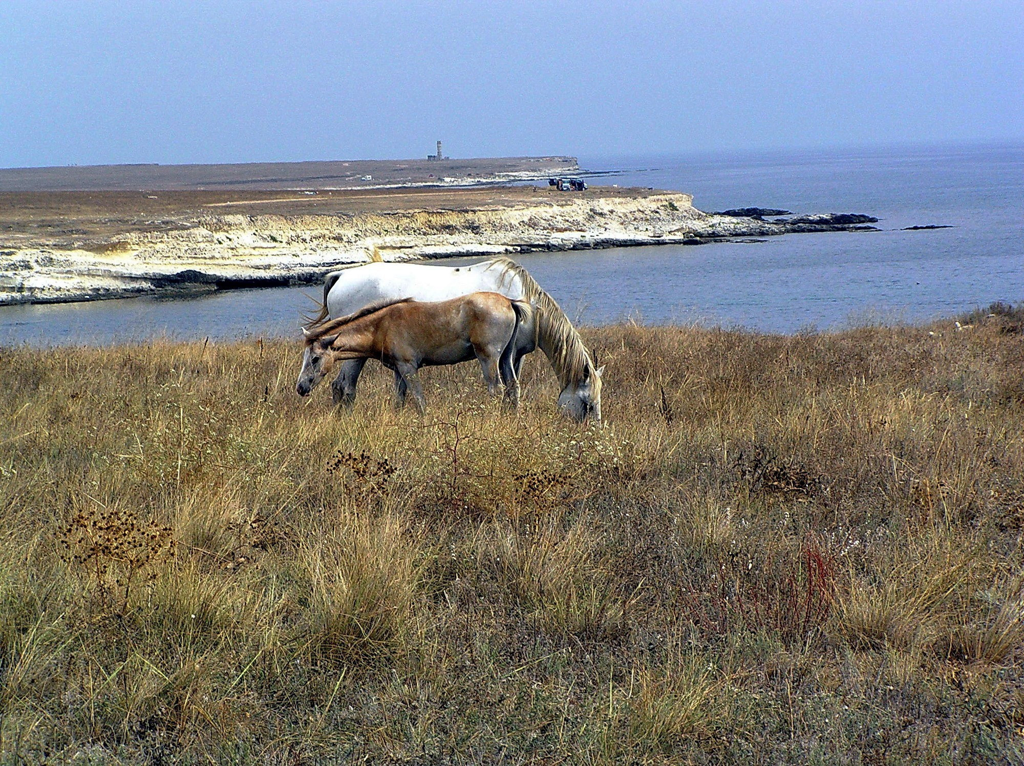 Crimea