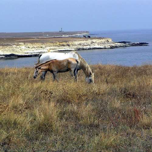 Crimea