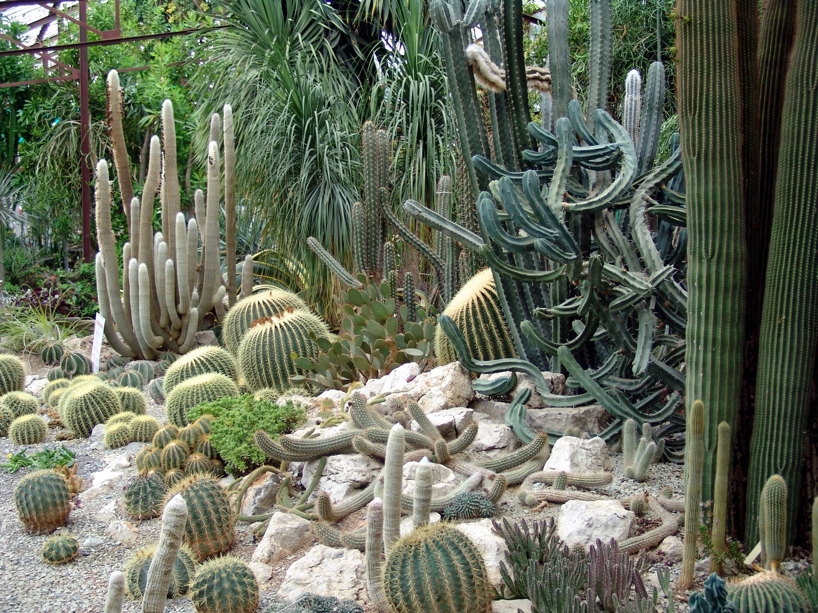 Никитский ботанический сад.