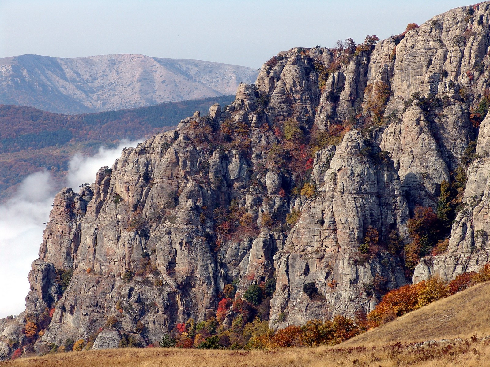 Crimea