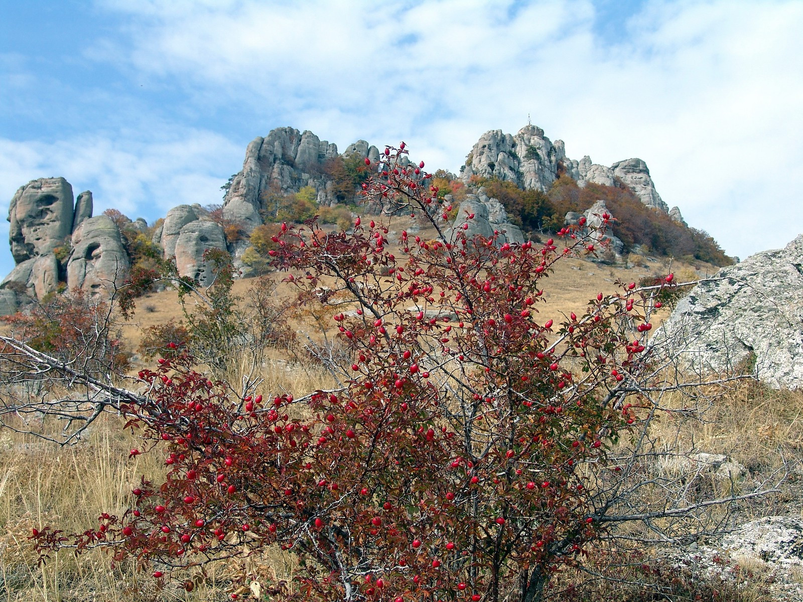 Crimea