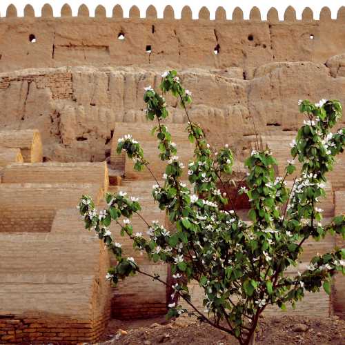 Узбекистан