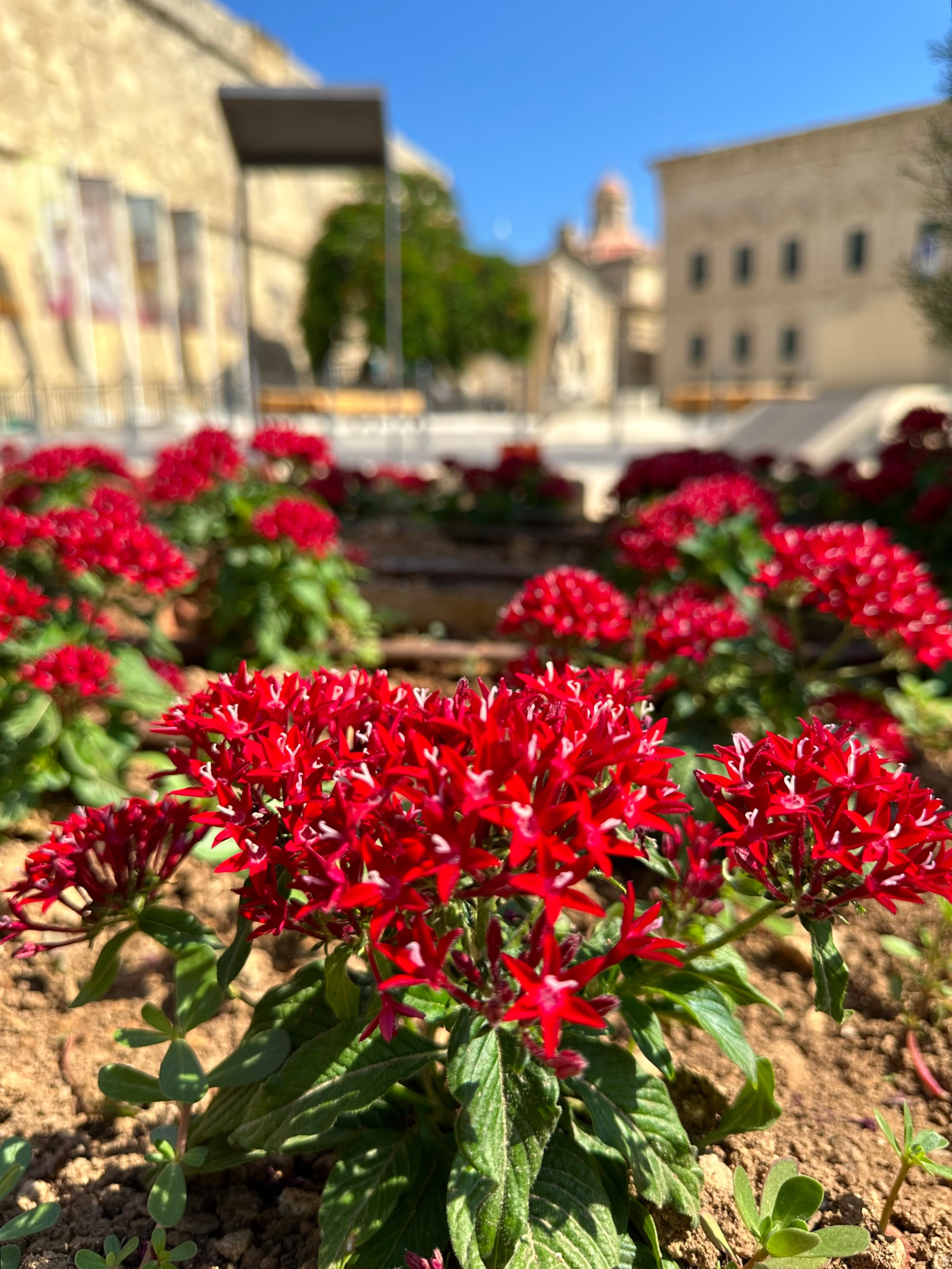 Malta