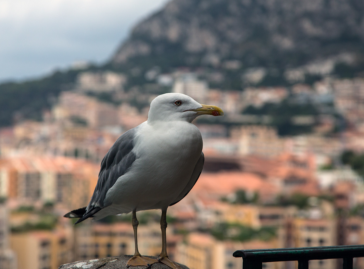 Monaco