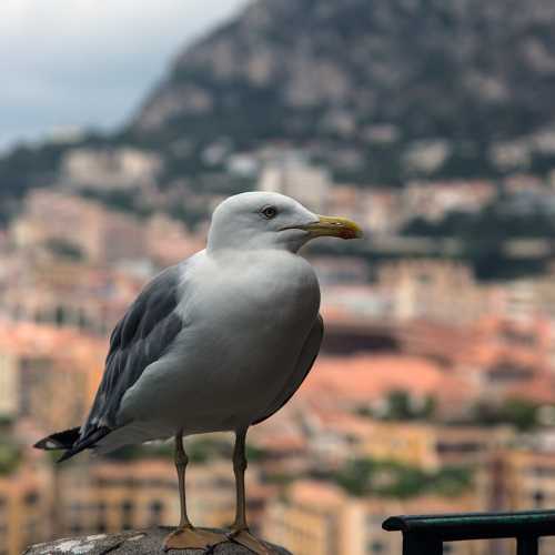 Monaco