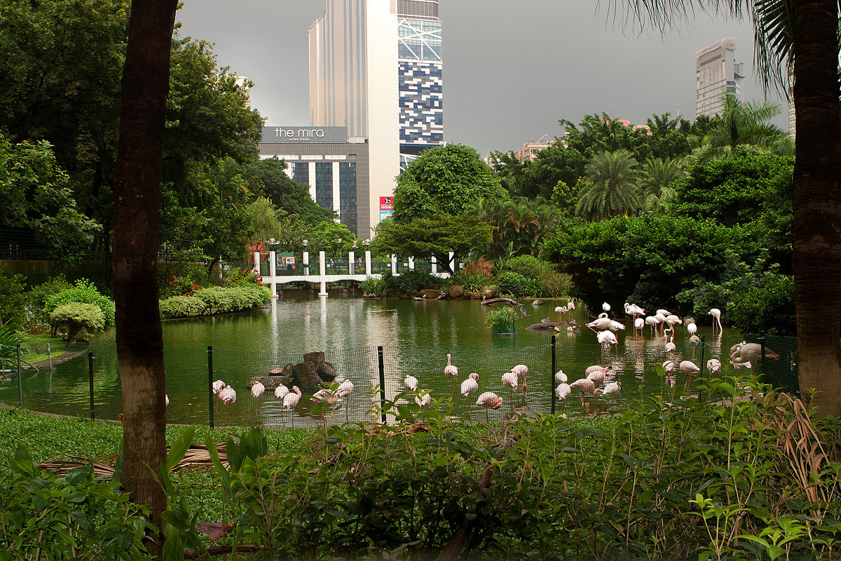 Hong Kong