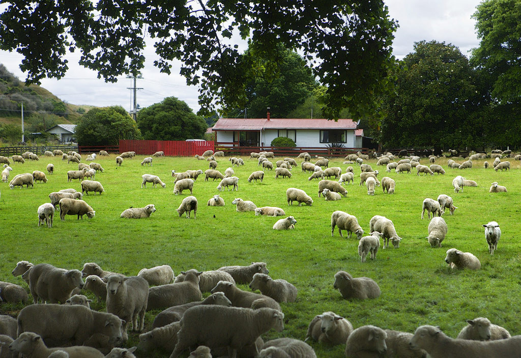 New Zealand