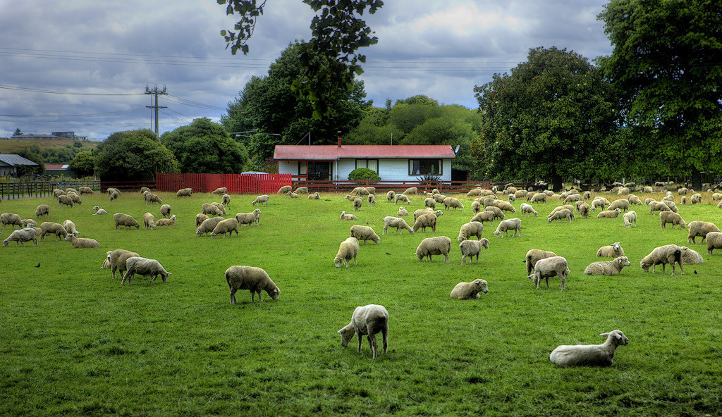 New Zealand