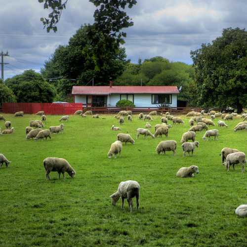 New Zealand