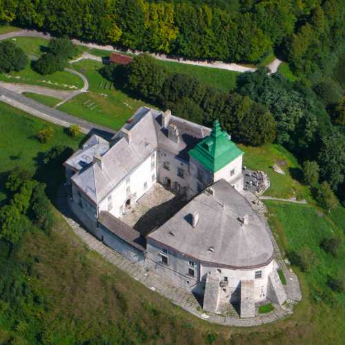 Олеский замок, Украина
