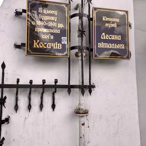 Музей Лесі Українки, Ukraine