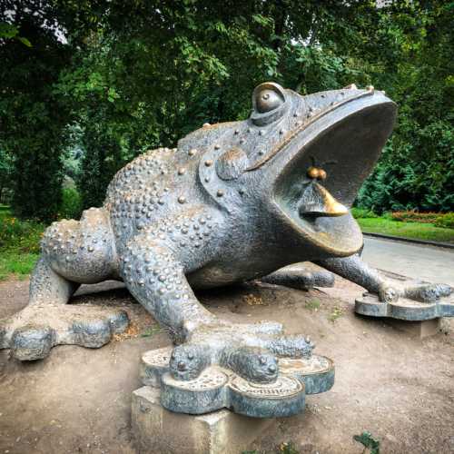 Памятник жабе photo