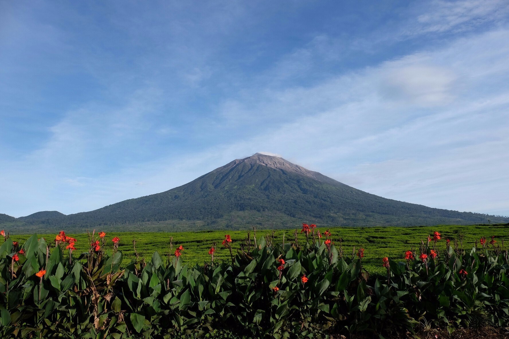 Indonesia