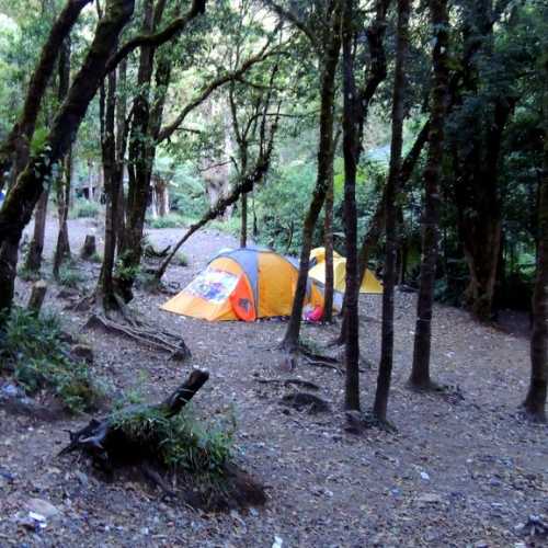 Базовый лагерь для ночлега при подъёме на вулкан Геде.