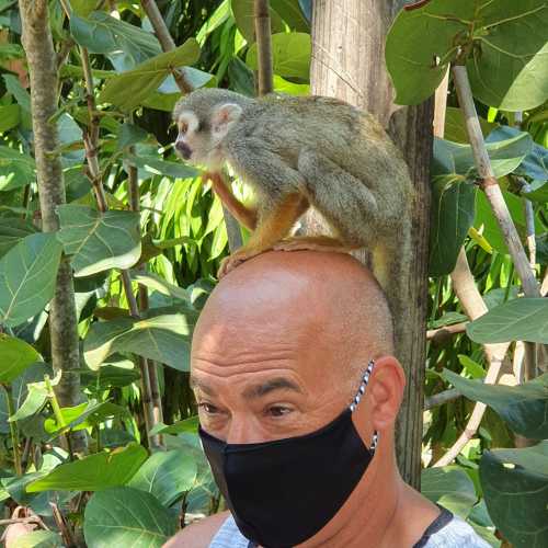 Monkey Land, Dominican Republic