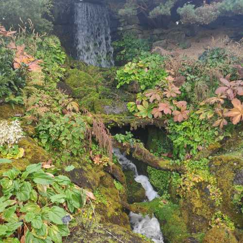 Royal Botanic Garden Edinburgh, Великобритания