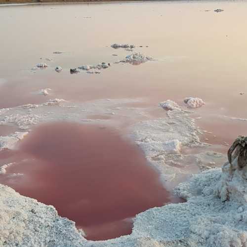 Рожеве Лемурійське озеро, Украина