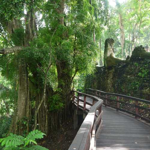 Лес обезьян, Индонезия